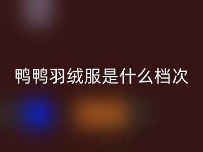 鸭鸭羽绒服是什么档次的牌子？价格贵吗？