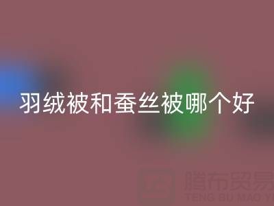 羽绒被和蚕丝被哪个好？——上海鸭绒AK官方网页版厂家深度剖析