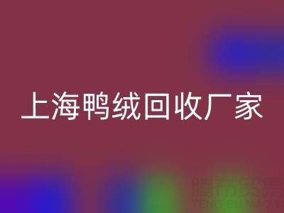 羽绒被内胆布料选购指南：上海鸭绒AK官方网页版厂家的专业建议